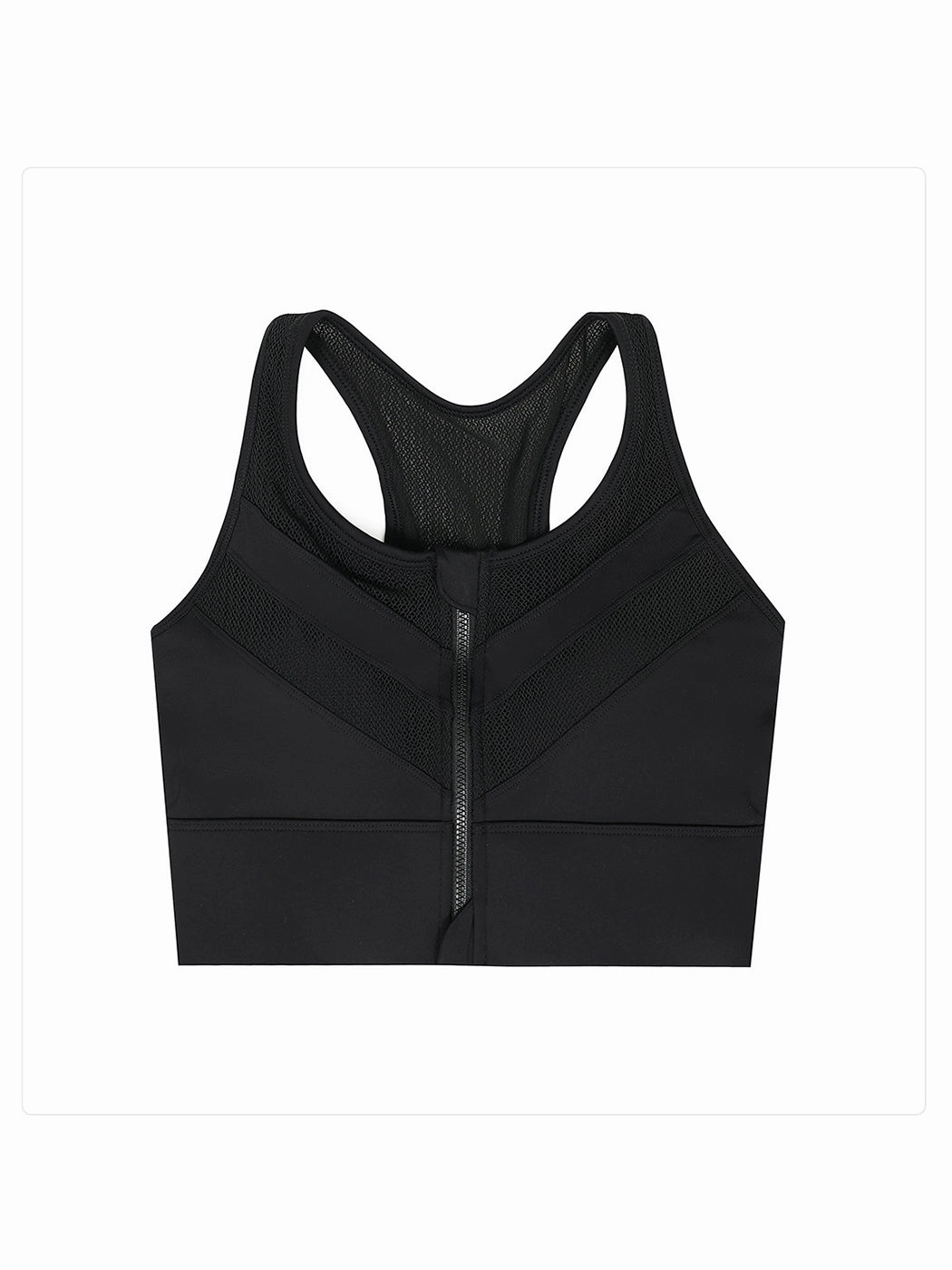 Breathable Fixed Padded Front Zipper Shockproof Sports Bra