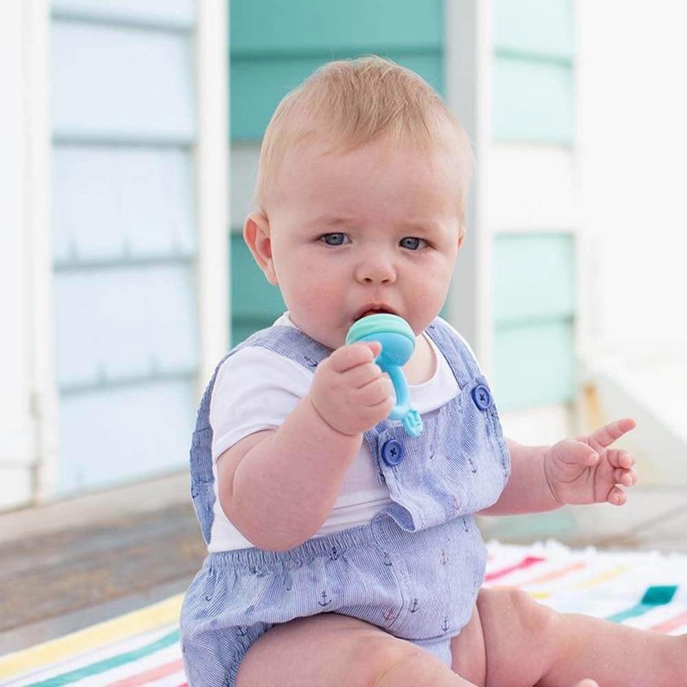Cherub Baby Fresh Food Feeder & Teether