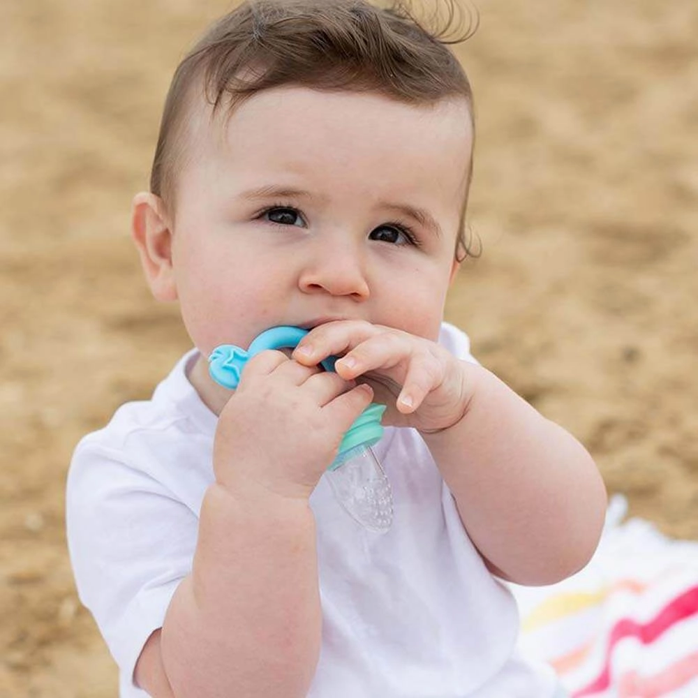 Cherub Baby Fresh Food Feeder & Teether