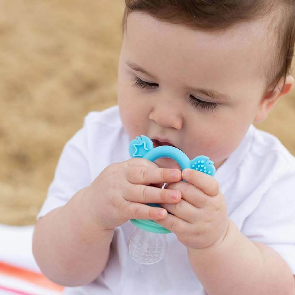 Cherub Baby Fresh Food Feeder & Teether