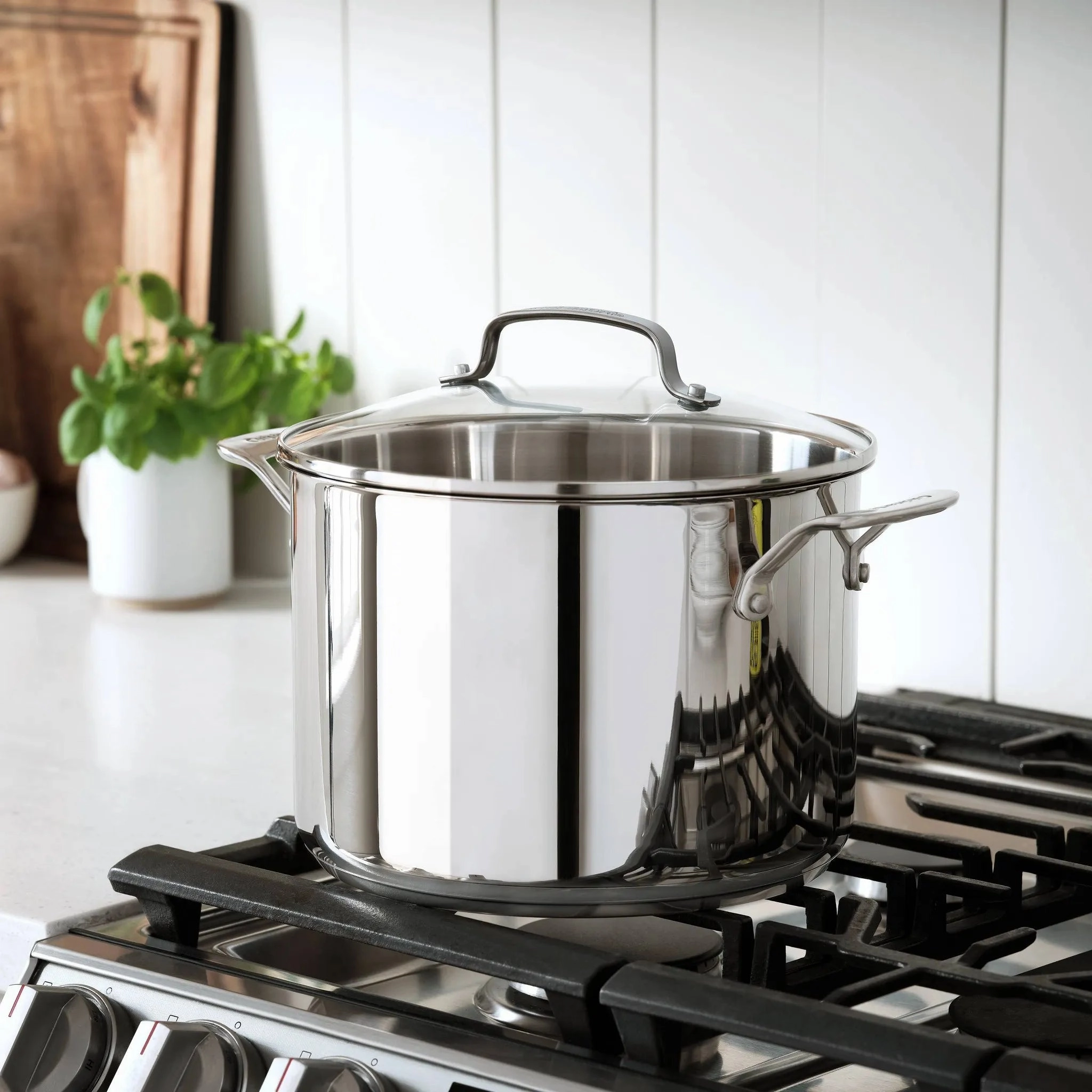 Classic 8qt Stainless Steel Stock Pot with Cover