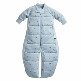 Ergopouch 2.5 Tog Sleep Suit Bag Dragonflies