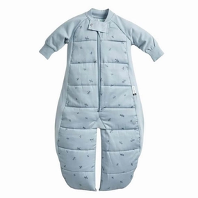 Ergopouch 3.5 Tog Sleep Suit Bag Dragonflies
