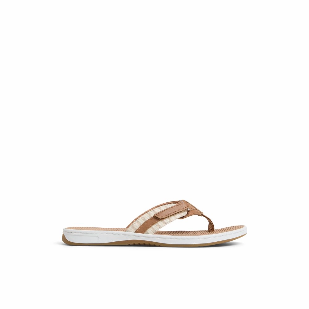 Seafish 1 Sandal
