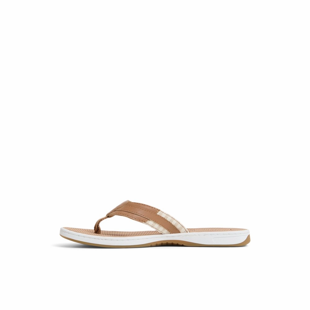 Seafish 1 Sandal