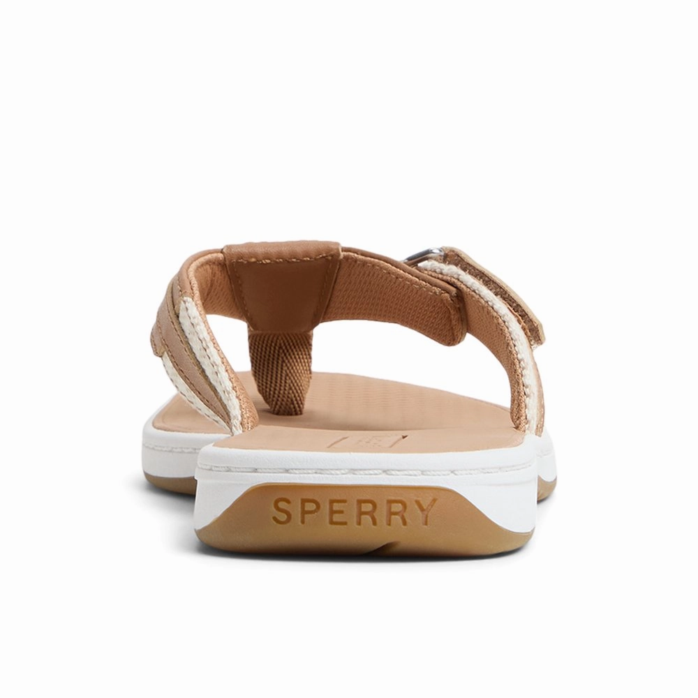 Seafish 1 Sandal
