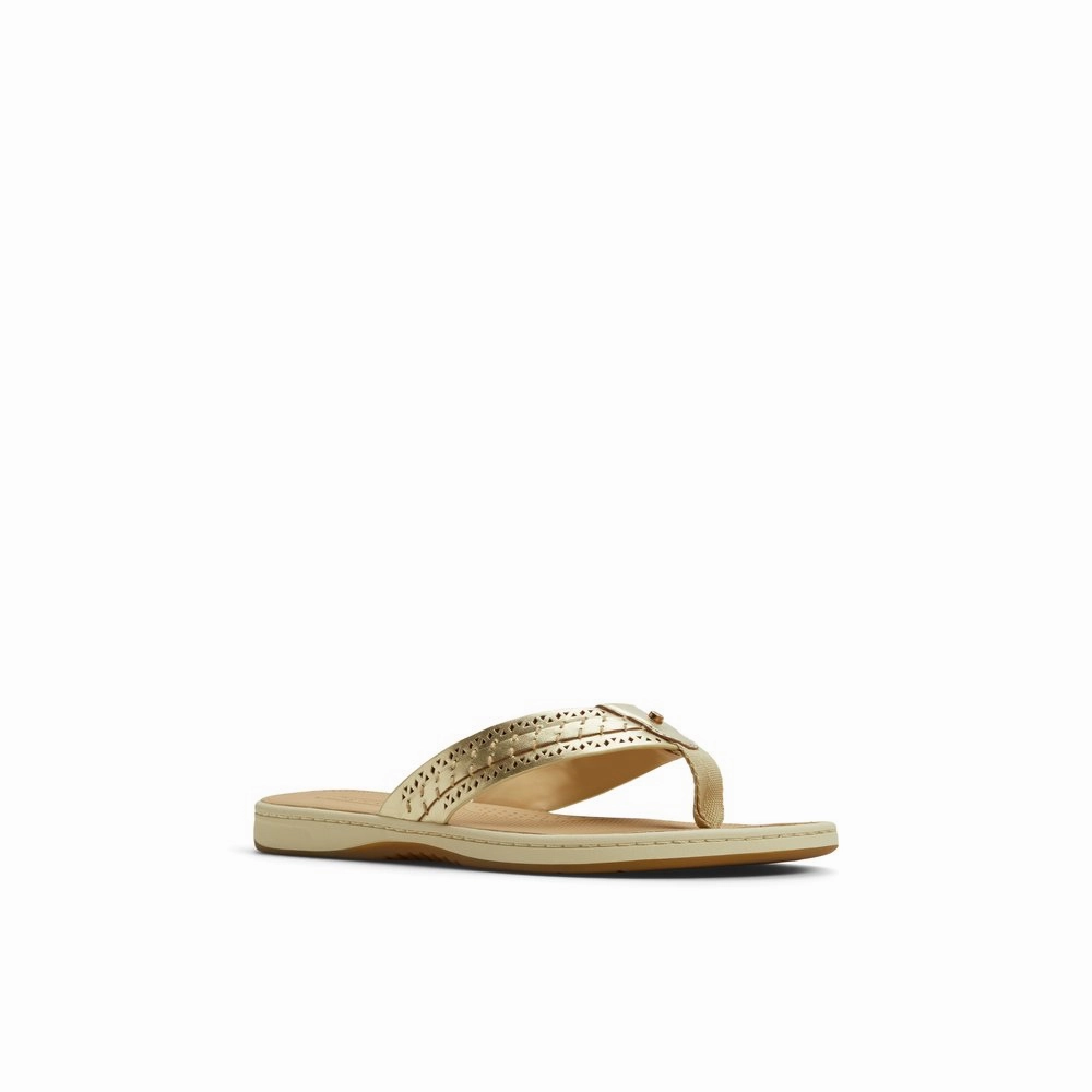 Seafish 3 Flip Flop Sandal