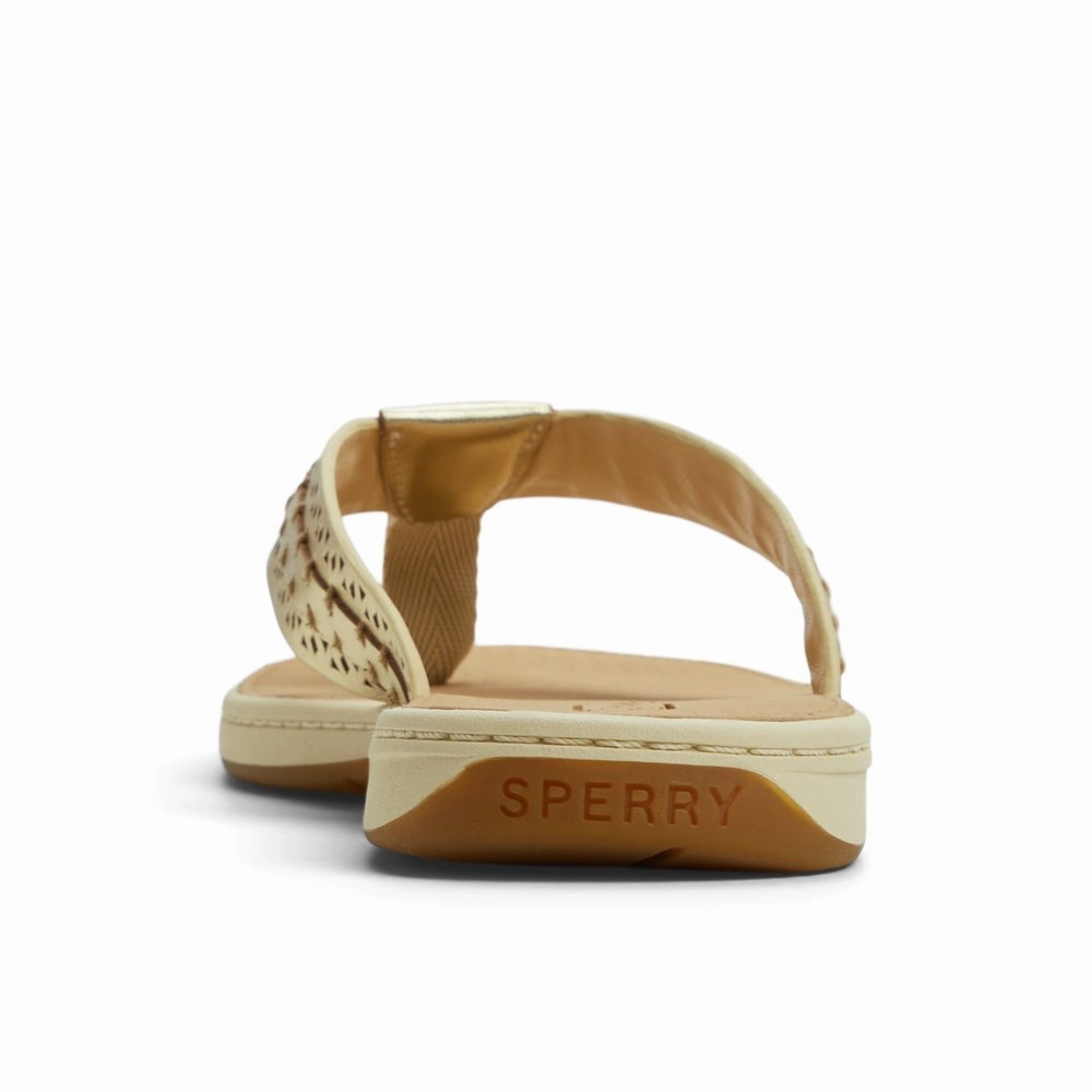 Seafish 3 Flip Flop Sandal