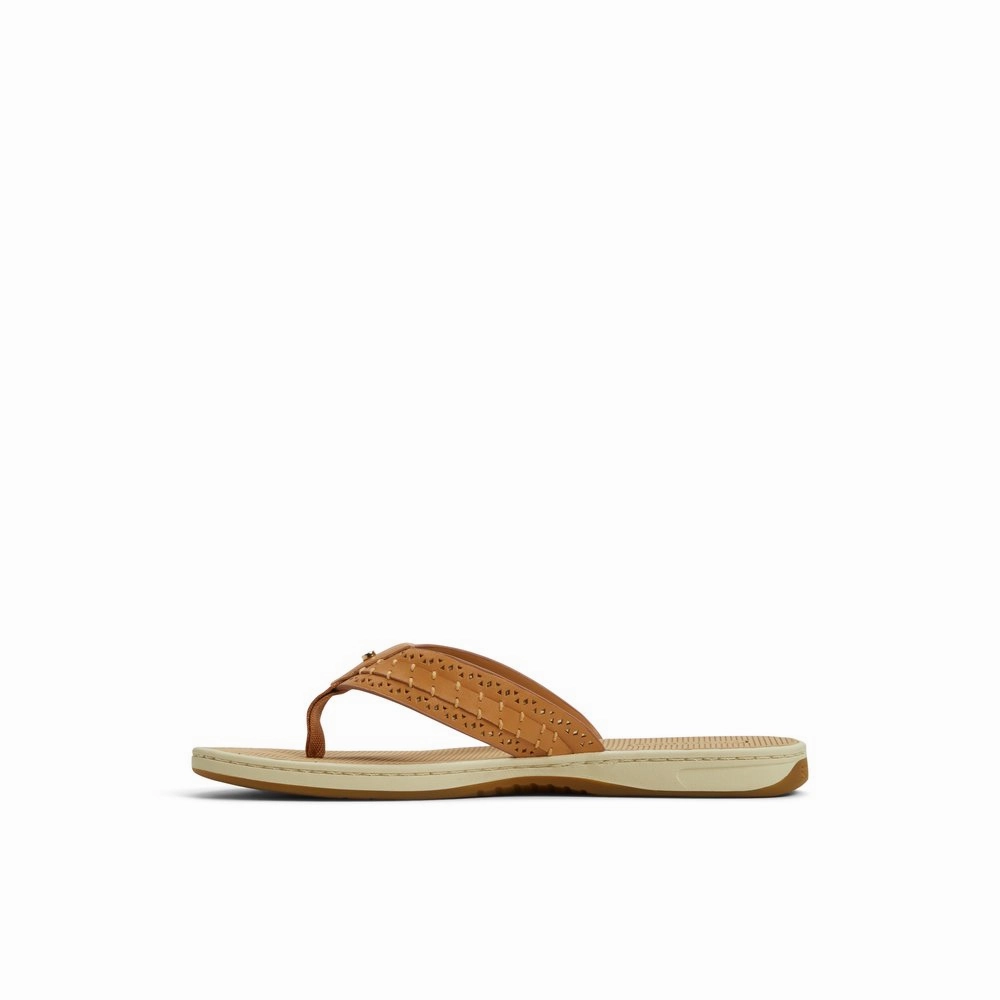 Seafish 3 Flip Flop Sandal