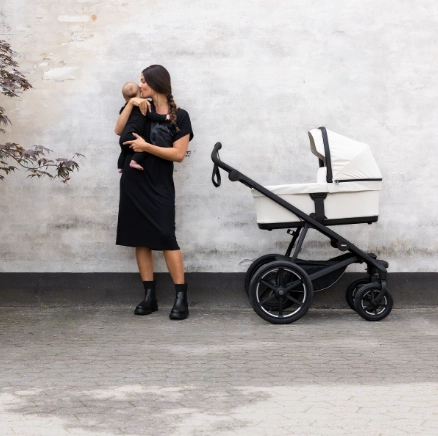 Thule Urban Glide 4-Wheel