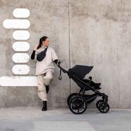 Thule Urban Glide 4-Wheel