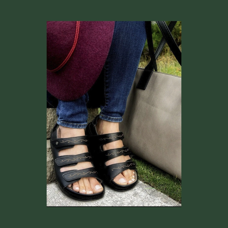 Women's Cambrian Delphi 3