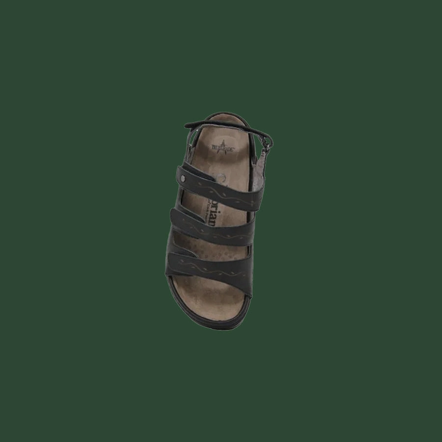 Women's Cambrian Delphi 3