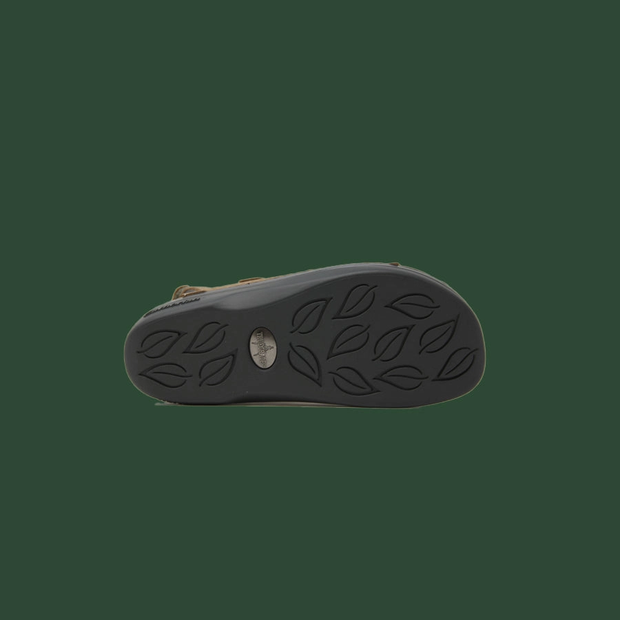 Women's Cambrian Delphi 3