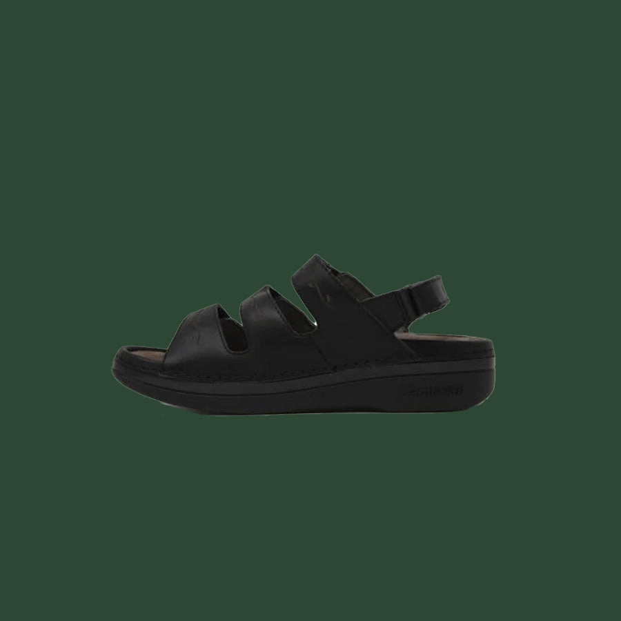 Women's Cambrian Delphi 3
