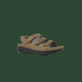 Women's Cambrian Delphi 3