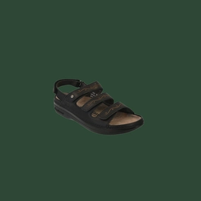 Women's Cambrian Delphi 3